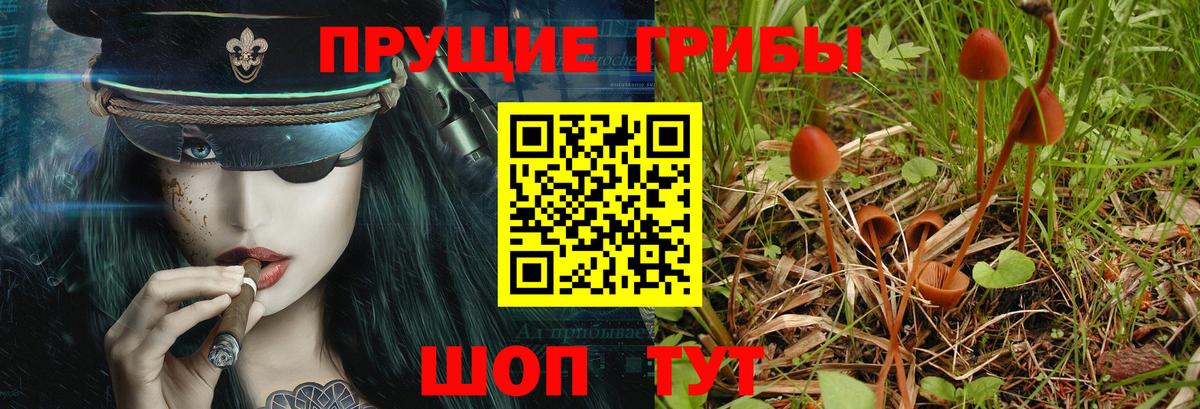 Псилоцибиновые грибы прущие грибы  Галлюциногенные грибы Cubensis  Калач-на-Дону  Вход с VPN 